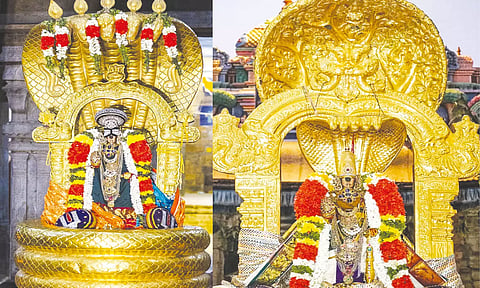 நம்பெருமாள் காலை சேஷவாகனத்திலும், மாலை கற்பகவிருட்ச வாகனத்திலும் எழுந்தருளிய காட்சி.