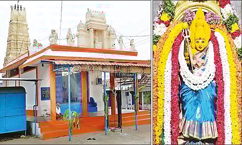 சேவூர் சக்தி மாரியம்மன் கோவிலையும், சக்தி மாரியம்மன் சிறப்பு அலங்காரத்தில் அருள்பாலித்ததையும் காணலாம்.