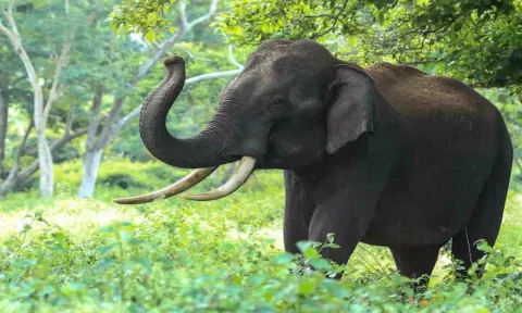 கோப்புபடம்.