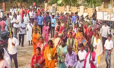 கடலூர் மஞ்சகுப்பம் பகுதியில் உள்ள கார்மேல் அன்னை ஆலயத்தில் குருத்தோலை ஞாயிறு முன்னிட்டு குருத்தோலை பவனி நடைபெற்றது