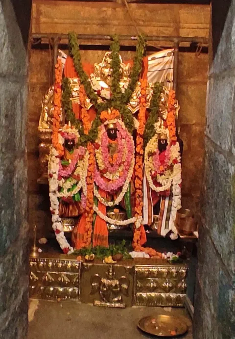மூலவர், சிறப்பு மலர் அலங்காரத்தில் பக்தர்களுக்கு அருள்பாலித்தார்.