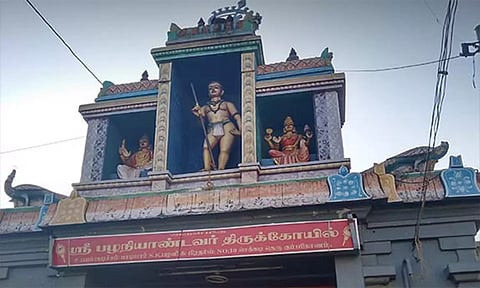 பழனியாண்டவர் சிற்றிலக்கியங்கள்
