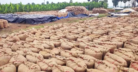 நெல் மூட்டைகள் தேக்கம்