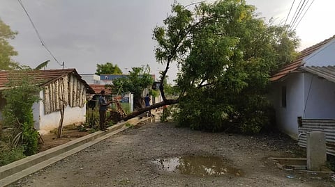 கோவையில் கொட்டி தீர்த்த ஆலங்கட்டி மழை