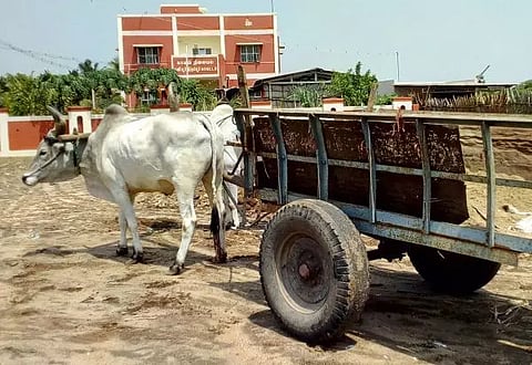 &nbsp;மணல் கடத்திய மாட்டு வண்டி பறிமுதல்

,மணல் கடத்திய மாட்டு வண்டி பறிமுதல்.
&nbsp;மணல் கடத்திய மாட்டு வண்டி பறிமுதல்

