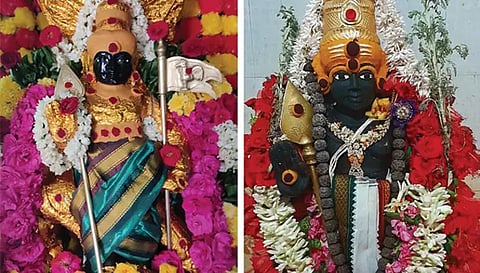 பங்குனி உத்திரத்தை முன்னிட்டு பேட்டை முருகன் கோப்பணம்பாளையத்தில் உள்ள பாலமுருகன் சிறப்பு அலங்காரத்தில் அருள்பாலித்த காட்சி.