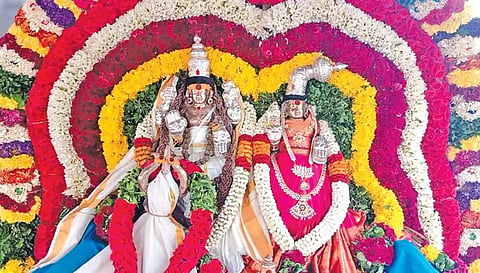 சிறப்பு  அலங்காரத்தில் காட்சியளிக்கும் லட்சுமி நரசிம்மர்.