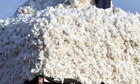 கோப்புபடம்.