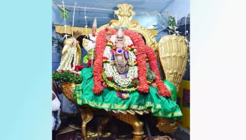 தெய்வானையுடன் தங்கமயில் வாகனத்தில் எழுந்தருளிய சுப்பிரமணியர்.
