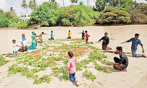 திருவையாறு காவிரி ஆற்று மணலில் நம்மாழ்வார் உருவப்படத்தை தத்ரூபமாக வரைந்த மாணவர்கள்.