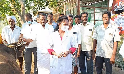 கோமாரி தடுப்பூசி முகாம் நடைபெற்ற போது எடுத்த படம்.