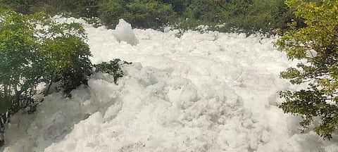 தென்பெண்ணை ஆற்று நீரில் குவியல் குவியலாக நுரை பொங்கி காணப்படுவதை படத்தில் காணலாம்.