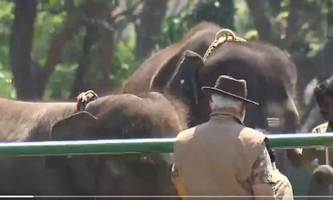தெப்பக்காடு முகாமில் யானைகளை பார்வையிட்டார் பிரதமர் மோடி