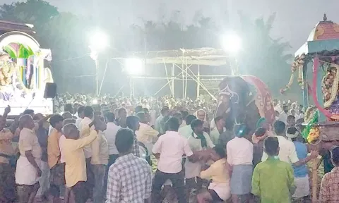 யானை விரட்டும் நிகழ்ச்சி நடந்தது.