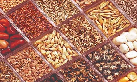 கோப்புபடம்.