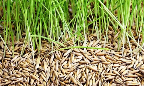 கோப்புபடம்.&nbsp;