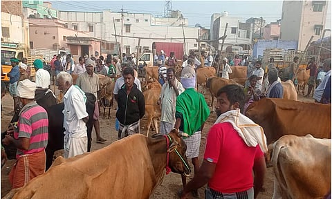 கோப்புப்படம்.