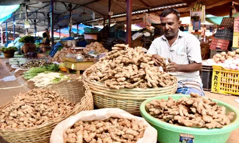 ஈரோடு வ.உ.சி. காய்கறி மார்க்கெட்டில் விற்பனைக்காக குவித்து வைக்கப்பட்டுள்ள இஞ்சியை படத்தில் காணலாம்.