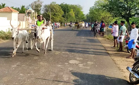 பந்தயத்தில் சீறிச்செல்லும் மாடுகள்.&nbsp;