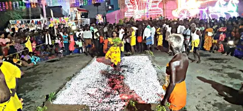 பக்தர்கள் பூக்குழி இறங்கியபோது எடுத்த படம்.
