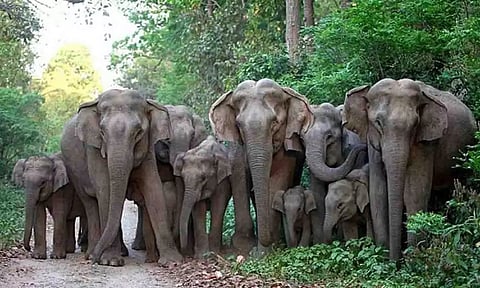 கோப்புபடம்.