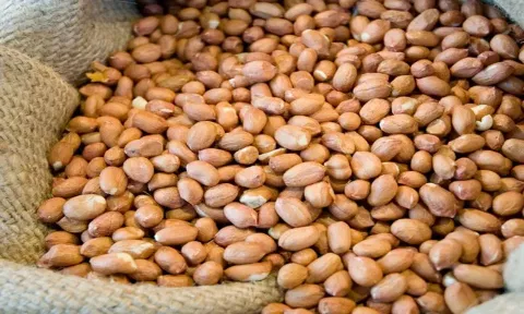 ரூ.3 லட்சத்து 96 ஆயிரத்துக்கு நிலக்கடலை விற்பனை