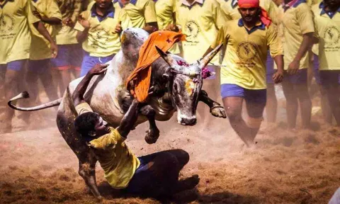 கோப்புபடம்.