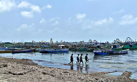 தடை காலத்தை முன்னிட்டு ராமேசுவரம் துறைமுகத்தில் நங்கூரமிட்டு நிறுத்தப்பட்டுள்ள விசைப்படகுகள்.&nbsp;