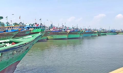 தூத்துக்குடி மீன்பிடி துறைமுகத்தில் விசைப்படகுகள் நிறுத்தப்பட்டுள்ளதை படத்தில் காணலாம்.