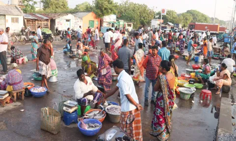 &nbsp;நேற்று இரவு கரை திரும்பிய மீனவர்களின் வலையில் சிக்கிய மீன்களை கடலூர் முதுநகர் துறைமுகம் பகுதியில் இன்று காலை வாங்க வந்த மக்களை படத்தில் காணலாம்.