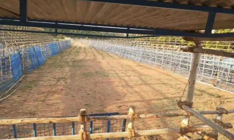 கேலரிகள் அமைக்கப்பட்டுள்தை படத்தில் காணலாம்.