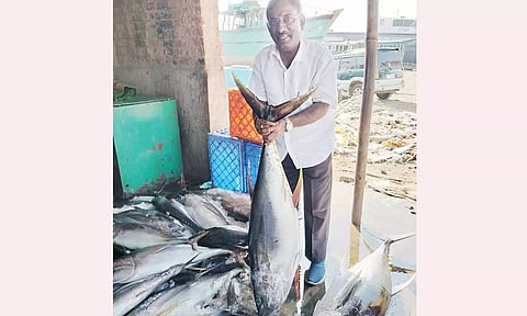 மீன்பிடி தடைகாலம் எதிரொலி- காசிமேடு மீன் மார்க்கெட்டில் மீன்களின் விலை உயர்வு