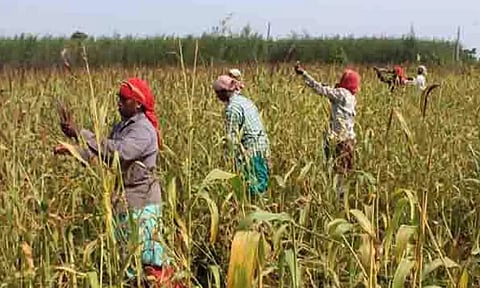 கோப்புபடம்.