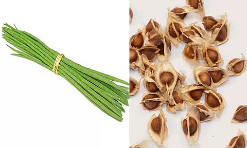 கோப்புபடம்.