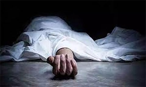 சிப்காட்டில் மயங்கி விழுந்து காவலாளி சாவு