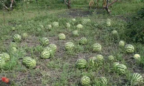 கோப்புபடம்.