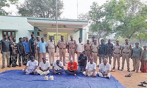 ஏர்வாடியில் அரிய வகை வலம்புரி சங்குகளை பதுக்கி வைத்திருந்த 7 பேர் கைது