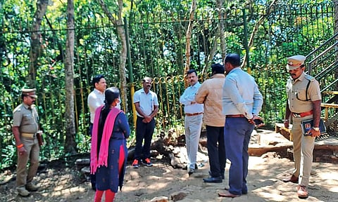 குணா குகை பகுதியில் வனத்துறை அதிகாரிகள் ஆய்வு செய்தனர்.