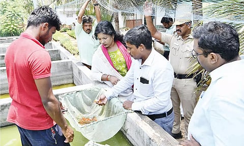 பெரியகுளம் அருகே ஏ.புதுப்பட்டி கிராமத்தில் செயல்பட்டு வரும் அலங்கார மீன்வளர்ப்பு பண்ணை செயல்பாடுகள் குறித்து கலெக்டர் ஷஜீவனா ஆய்வு மேற்கொண்டார்.