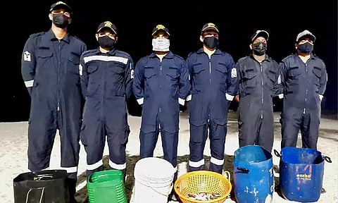 பறிமுதல் செய்யப்பட்ட கடல் அட்டைகளுடன் கடலோர காவல்படையினர். 