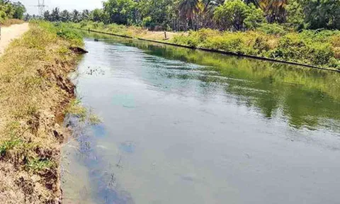 கோப்புபடம்.