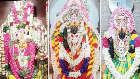 பரமத்தி அங்காள பரமேஸ்வரி, கோப்பணம்பாளையம் அங்காள பரமேஸ்வரி, அரசாயி அம்மன்கள் சிறப்பு அலங்காரத்தில் அருள்பாலித்த காட்சி.&nbsp;