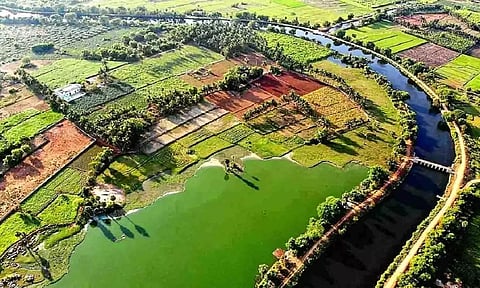 கோப்புபடம்.