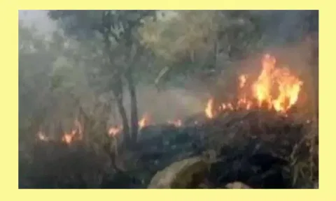 மேற்கு தொடர்ச்சி மலையில் போராடி தீயை அணைத்த வனத்துறையினர்