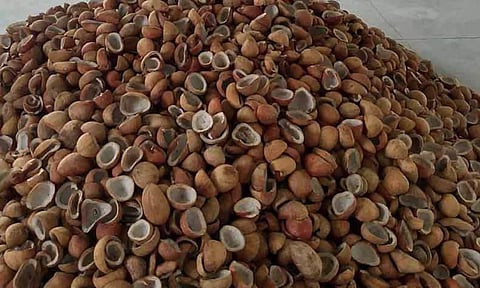 2.40 லட்சம் டன் வேளாண் விளை பொருட்கள் விற்பனை செய்து சாதனை
