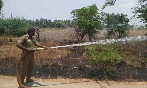 கோப்புபடம்.