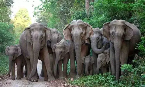 கோப்புபடம்.