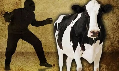 மாடுகளை திருடி ஆந்திராவில் விற்பனை செய்த கும்பல்