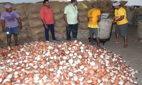 கோப்புபடம்.
