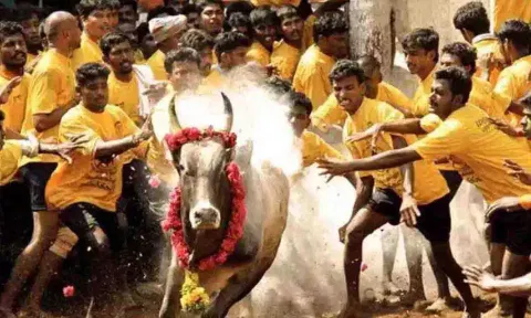 கோப்புபடம்.
